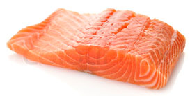 Salmon