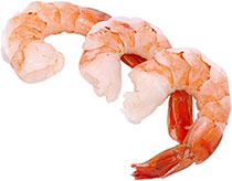 Shrimp